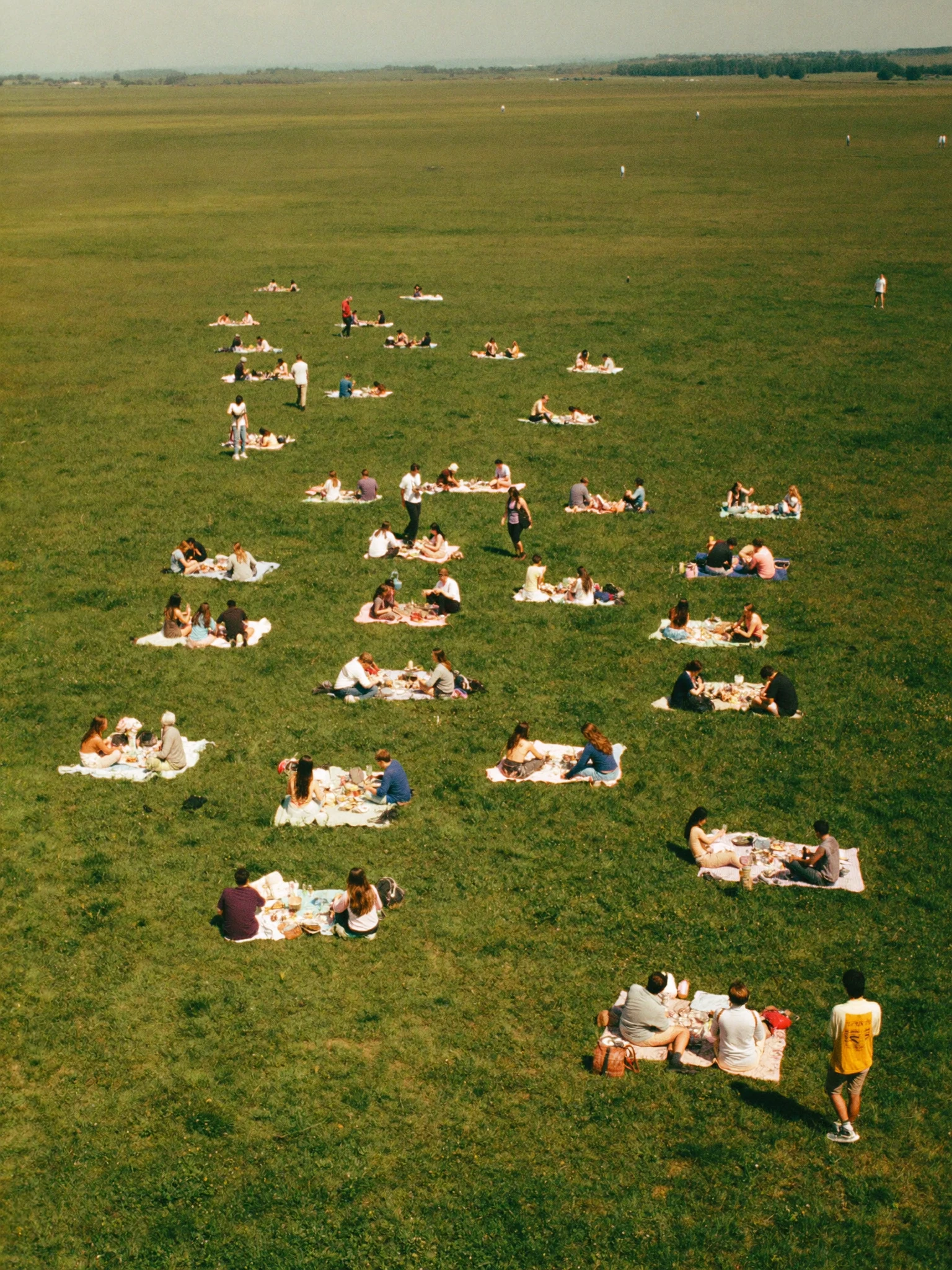 Viele Picknick-Gruppen mittig auf einer grünen Wiese, schräge Drohnenperspektive mit weiter Wiese am Horizont